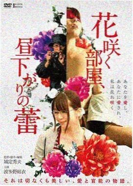 AV免费看片 影评